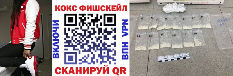 Кокаин Fish Scale  Купить закладки  Кемь 
