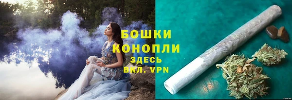 PSILOCYBIN Надым