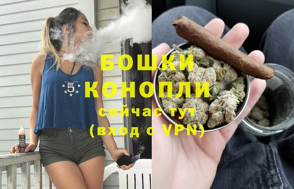 PSILOCYBIN Надым