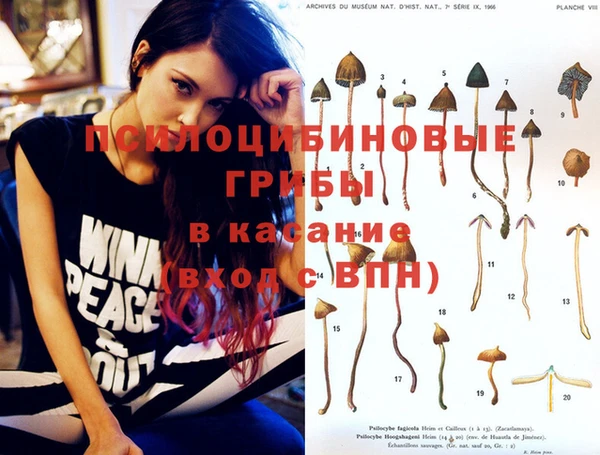PSILOCYBIN Надым